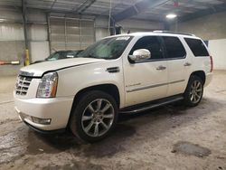 Salvage cars for sale from Copart Chalfont, PA: 2009 Cadillac Escalade Luxury