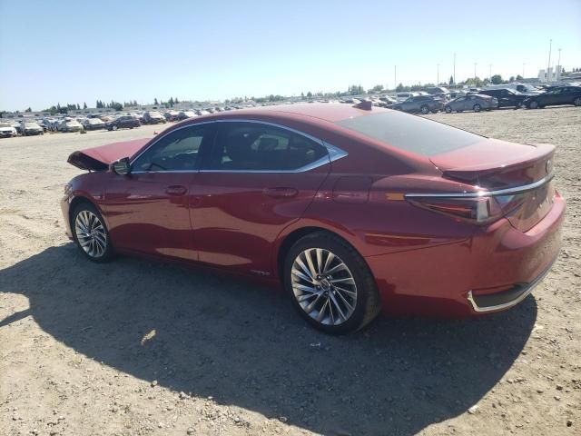 2021 Lexus ES 300H Luxury