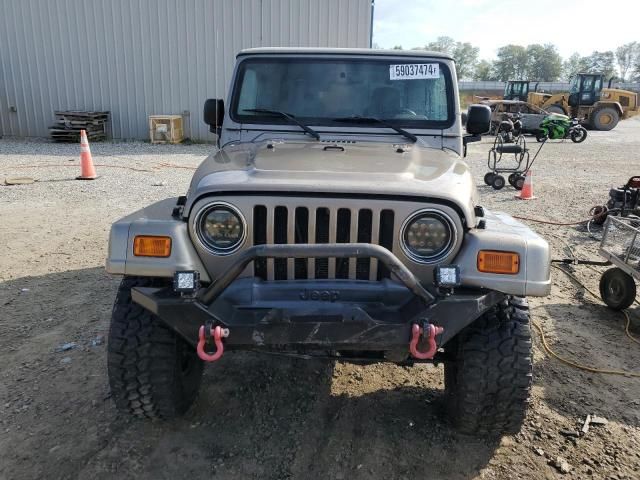 2003 Jeep Wrangler / TJ Sahara