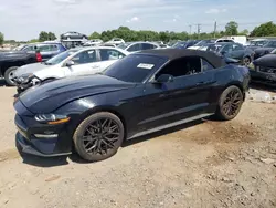 Salvage Cars with No Bids Yet For Sale at auction: 2021 Ford Mustang