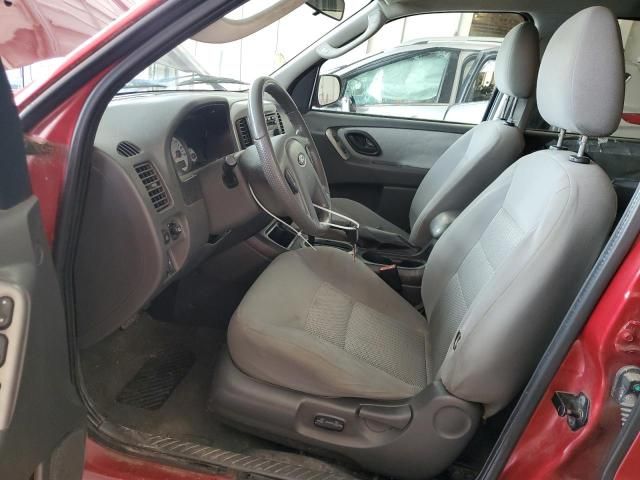 2005 Ford Escape XLT