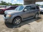 2010 Ford Escape Limited