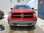 2010 Dodge RAM 1500