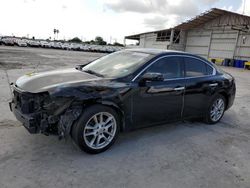 Salvage cars for sale from Copart Corpus Christi, TX: 2014 Nissan Maxima S