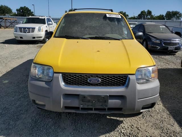 2002 Ford Escape XLT