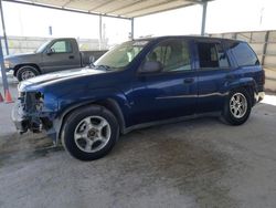 Salvage cars for sale at Anthony, TX auction: 2003 Chevrolet Trailblazer