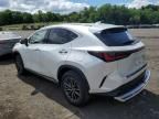 2023 Lexus NX 350