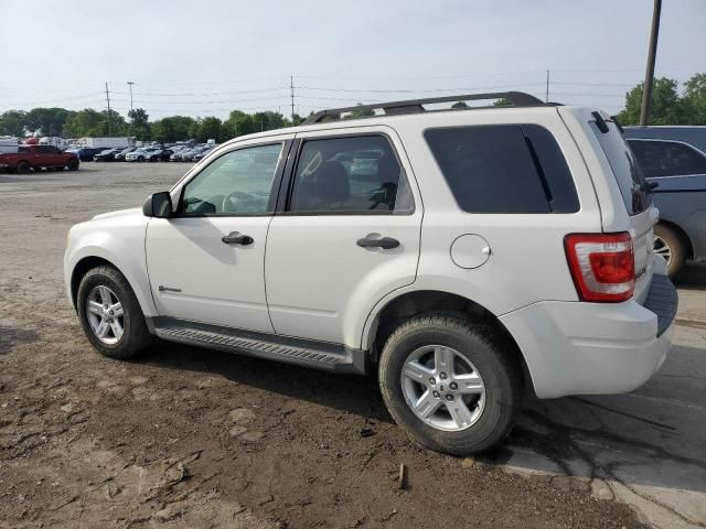 2009 Ford Escape Hybrid