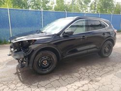 Salvage cars for sale at Moncton, NB auction: 2022 Ford Escape Titanium