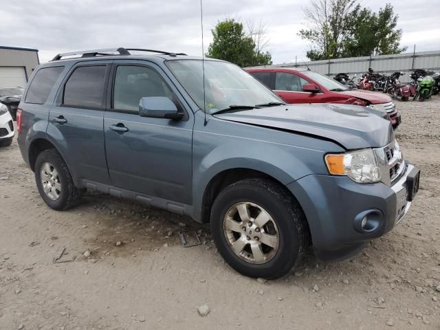 2011 Ford Escape Limited