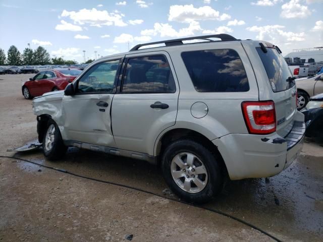 2009 Ford Escape XLT