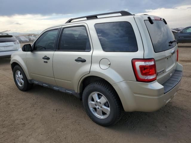 2011 Ford Escape XLT