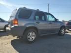 2007 Ford Escape XLT