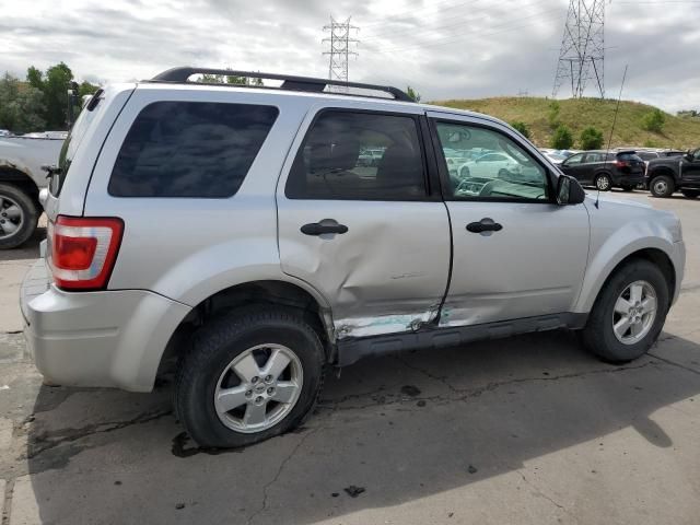 2010 Ford Escape XLT