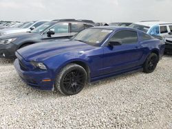 Salvage cars for sale at New Braunfels, TX auction: 2014 Ford Mustang