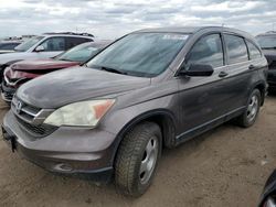 Salvage cars for sale at Brighton, CO auction: 2010 Honda CR-V LX