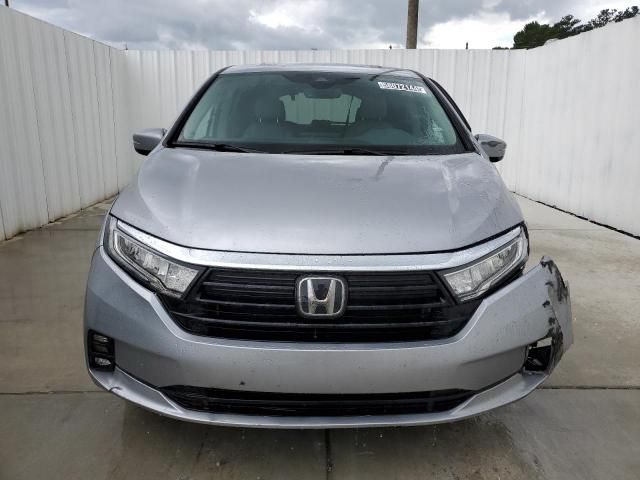 2024 Honda Odyssey EXL