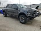 2018 Ford F150 Raptor