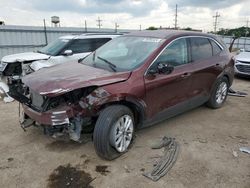 Salvage cars for sale from Copart Chicago Heights, IL: 2021 Ford Escape SE