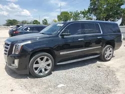 Cadillac Vehiculos salvage en venta: 2019 Cadillac Escalade ESV Luxury