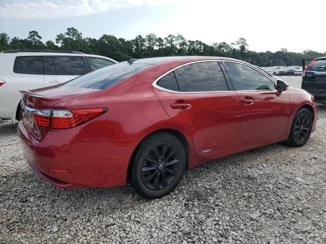 2013 Lexus ES 300H