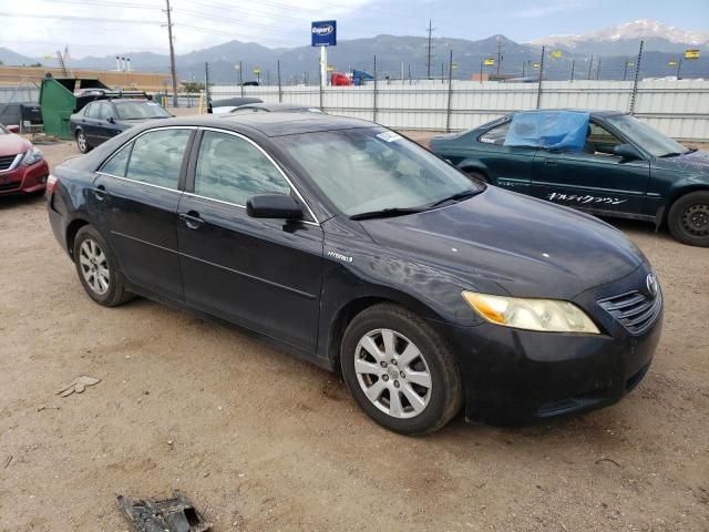 2009 Toyota Camry Hybrid