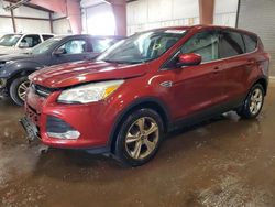 Salvage cars for sale at Lansing, MI auction: 2014 Ford Escape SE