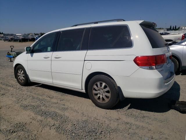 2010 Honda Odyssey EXL