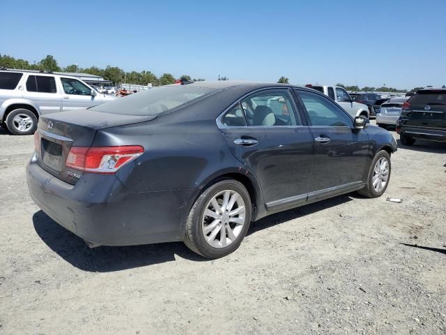 2010 Lexus ES 350