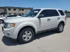 2011 Ford Escape XLS