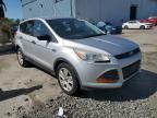 2014 Ford Escape S