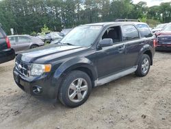 Compre carros salvage a la venta ahora en subasta: 2010 Ford Escape XLT