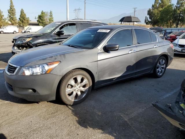 2009 Honda Accord EXL