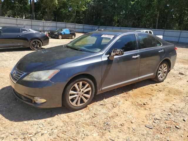 2010 Lexus ES 350