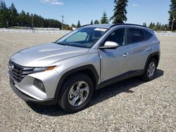 Salvage cars for sale from Copart Graham, WA: 2024 Hyundai Tucson SEL