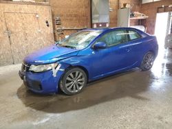 Salvage cars for sale at Ebensburg, PA auction: 2013 KIA Forte SX