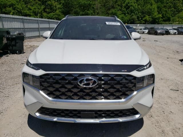 2022 Hyundai Santa FE Calligraphy