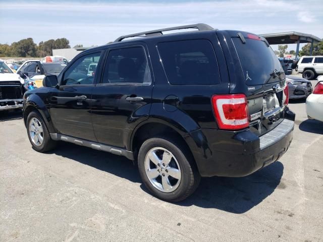 2009 Ford Escape XLT