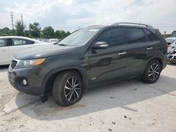 Salvage cars for sale at Lawrenceburg, KY auction: 2013 KIA Sorento EX