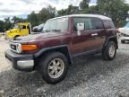 2007 Toyota FJ Cruiser