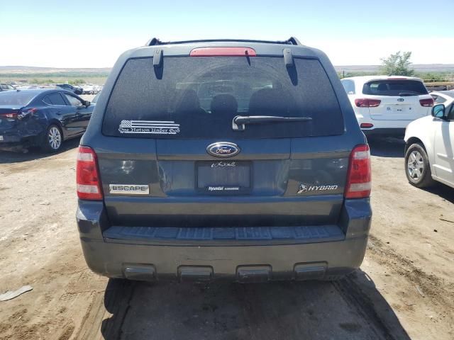 2008 Ford Escape HEV