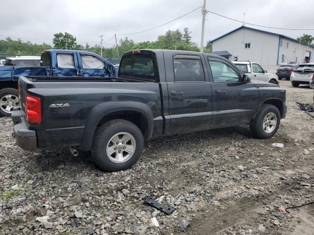 2008 Dodge Dakota SXT