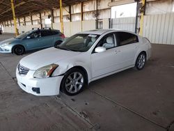 Salvage cars for sale from Copart Phoenix, AZ: 2008 Nissan Maxima SE