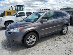 Salvage cars for sale at Wayland, MI auction: 2011 Honda CR-V EXL