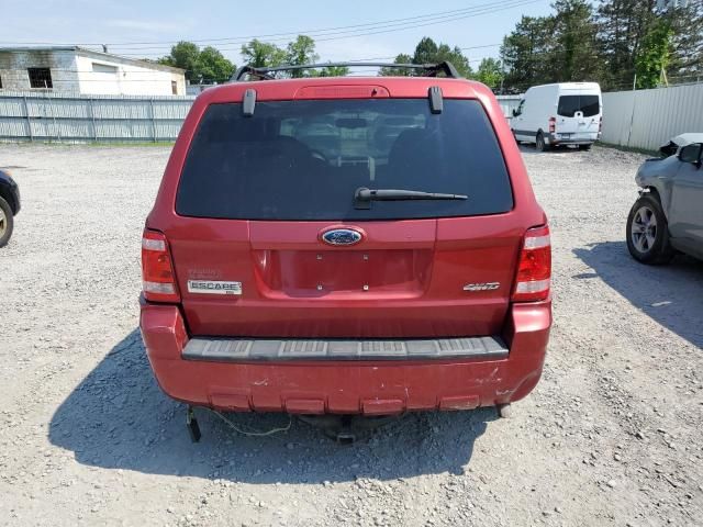 2009 Ford Escape XLT