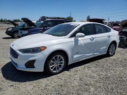 Salvage cars for sale at Eugene, OR auction: 2019 Ford Fusion SEL