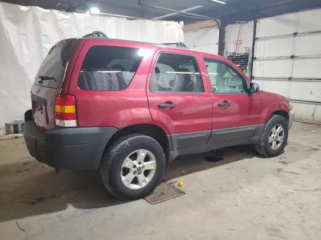 2006 Ford Escape XLT