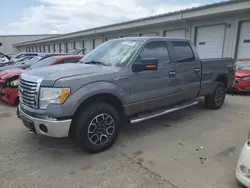 Salvage trucks for sale at Louisville, KY auction: 2010 Ford F150 Supercrew