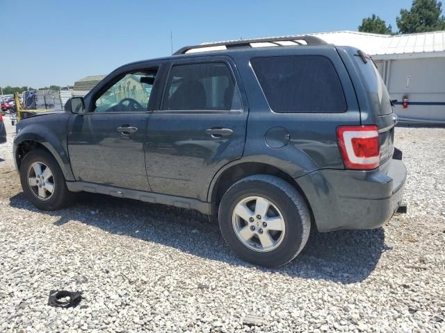 2009 Ford Escape XLT