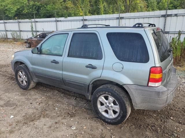 2007 Ford Escape XLT